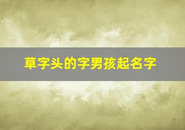 草字头的字男孩起名字