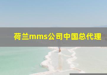 荷兰mms公司中国总代理