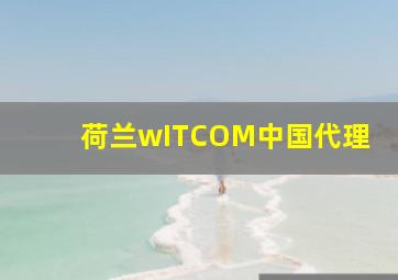 荷兰wITCOM中国代理