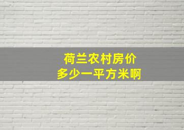 荷兰农村房价多少一平方米啊