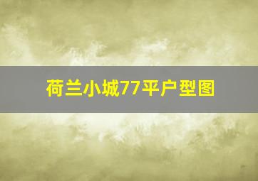 荷兰小城77平户型图