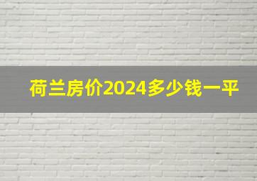 荷兰房价2024多少钱一平