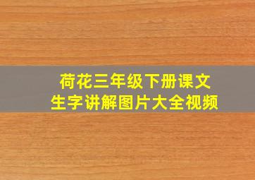 荷花三年级下册课文生字讲解图片大全视频