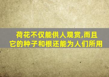 荷花不仅能供人观赏,而且它的种子和根还能为人们所用