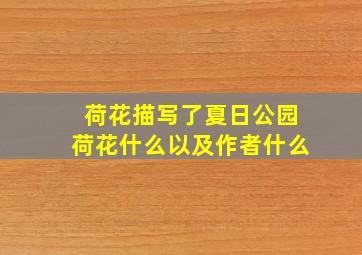 荷花描写了夏日公园荷花什么以及作者什么