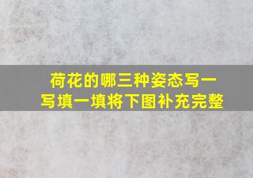 荷花的哪三种姿态写一写填一填将下图补充完整