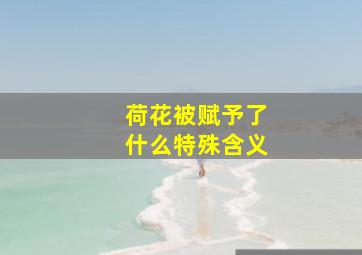 荷花被赋予了什么特殊含义