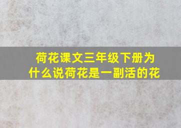 荷花课文三年级下册为什么说荷花是一副活的花