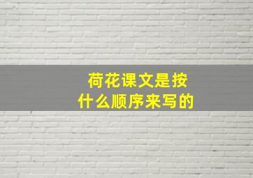 荷花课文是按什么顺序来写的