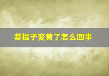 菩提子变黄了怎么回事