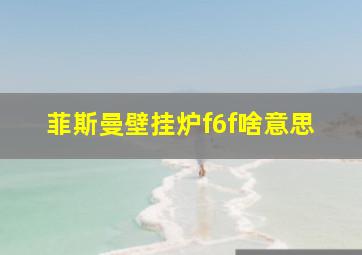 菲斯曼壁挂炉f6f啥意思