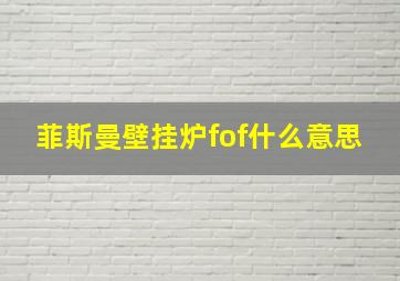 菲斯曼壁挂炉fof什么意思