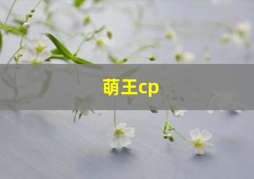 萌王cp