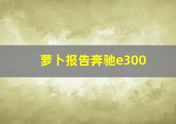 萝卜报告奔驰e300