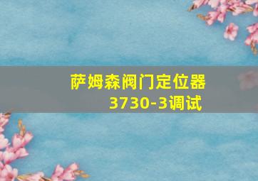 萨姆森阀门定位器3730-3调试