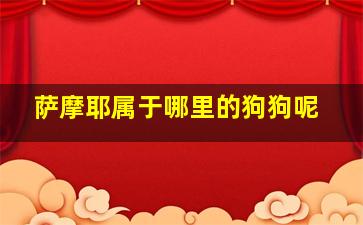 萨摩耶属于哪里的狗狗呢