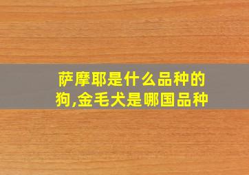 萨摩耶是什么品种的狗,金毛犬是哪国品种