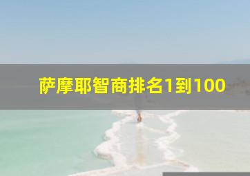 萨摩耶智商排名1到100