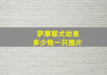 萨摩耶犬幼崽多少钱一只图片