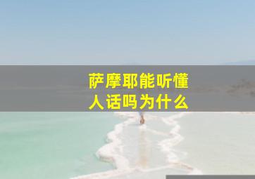 萨摩耶能听懂人话吗为什么