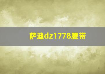 萨迪dz1778腰带