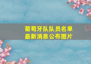 葡萄牙队队员名单最新消息公布图片