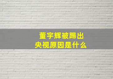 董宇辉被踢出央视原因是什么