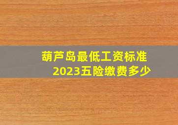 葫芦岛最低工资标准2023五险缴费多少