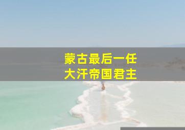 蒙古最后一任大汗帝国君主