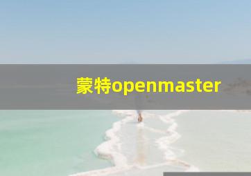 蒙特openmaster