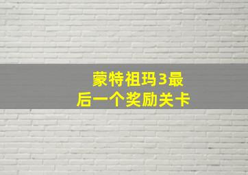 蒙特祖玛3最后一个奖励关卡