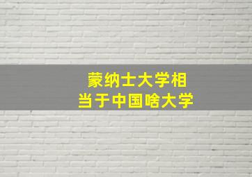 蒙纳士大学相当于中国啥大学