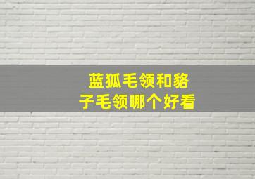 蓝狐毛领和貉子毛领哪个好看