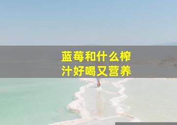 蓝莓和什么榨汁好喝又营养