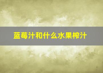 蓝莓汁和什么水果榨汁