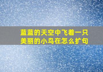 蓝蓝的天空中飞着一只美丽的小鸟在怎么扩句