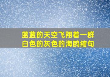 蓝蓝的天空飞翔着一群白色的灰色的海鸥缩句