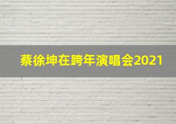 蔡徐坤在跨年演唱会2021