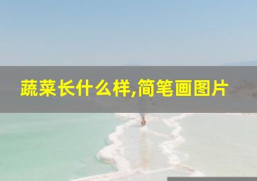 蔬菜长什么样,简笔画图片