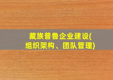 藏族普鲁企业建设(组织架构、团队管理)