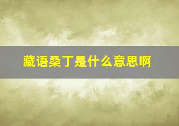 藏语桑丁是什么意思啊