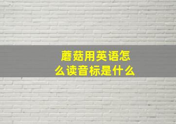 蘑菇用英语怎么读音标是什么