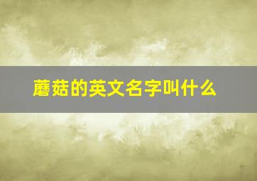 蘑菇的英文名字叫什么