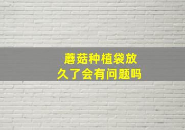 蘑菇种植袋放久了会有问题吗