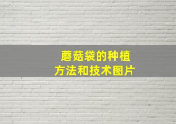 蘑菇袋的种植方法和技术图片