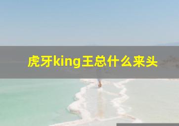 虎牙king王总什么来头