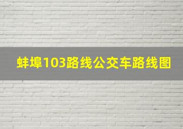 蚌埠103路线公交车路线图