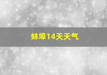 蚌埠14天天气