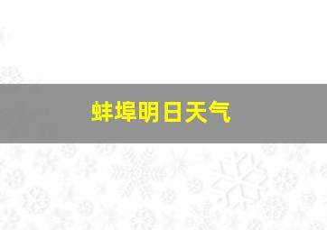 蚌埠明日天气