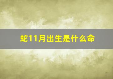 蛇11月出生是什么命